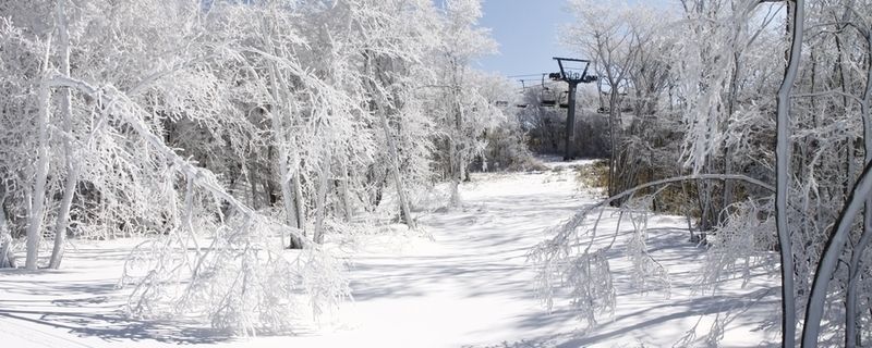 九重森林公園スキー場