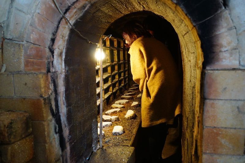 登り窯の中を見学している風景