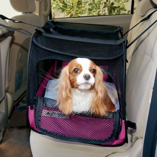 ペットセーフティシート - 犬用品・ドッグフード通販ならペット用品 ペピイ