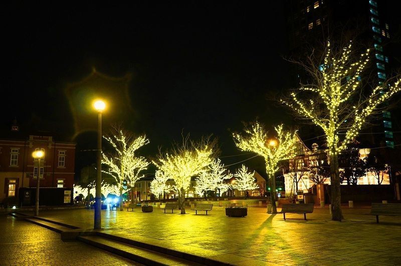 ライトアップされた洋館