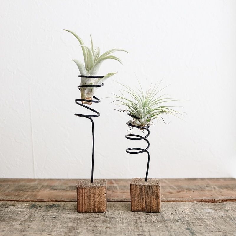 プランツホルダー