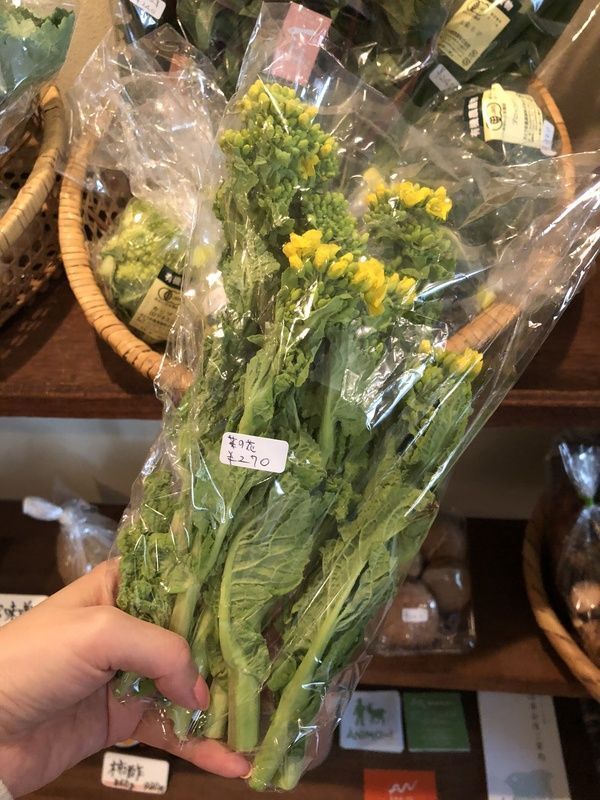 菜の花