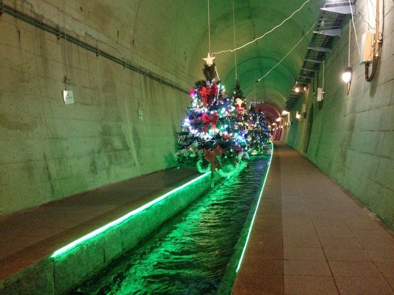 クリスマスツリー