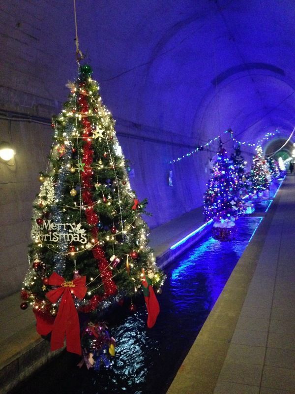 クリスマスツリー２