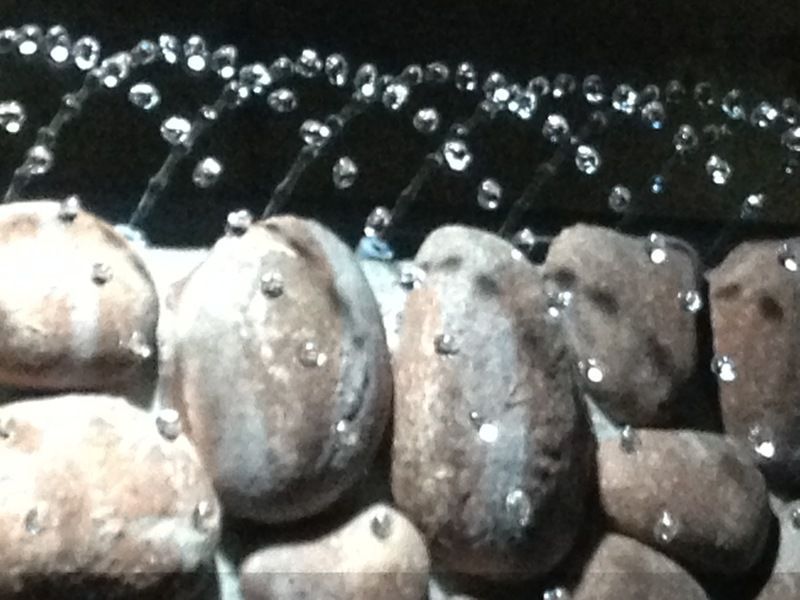 ウォーターパール２