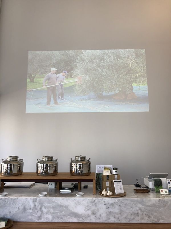 オリーブ園の様子