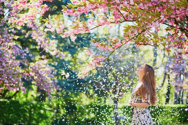 桜と女性