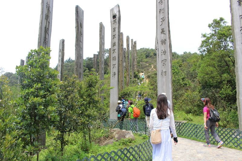 ハートスートラ