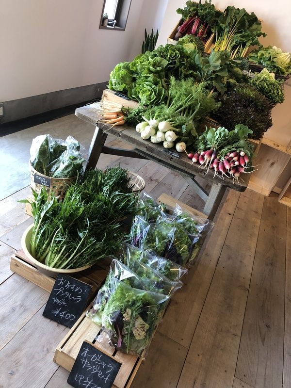 オーガニック野菜