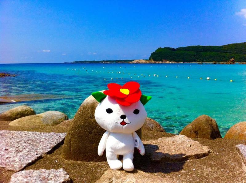 五島市/つばきねこ