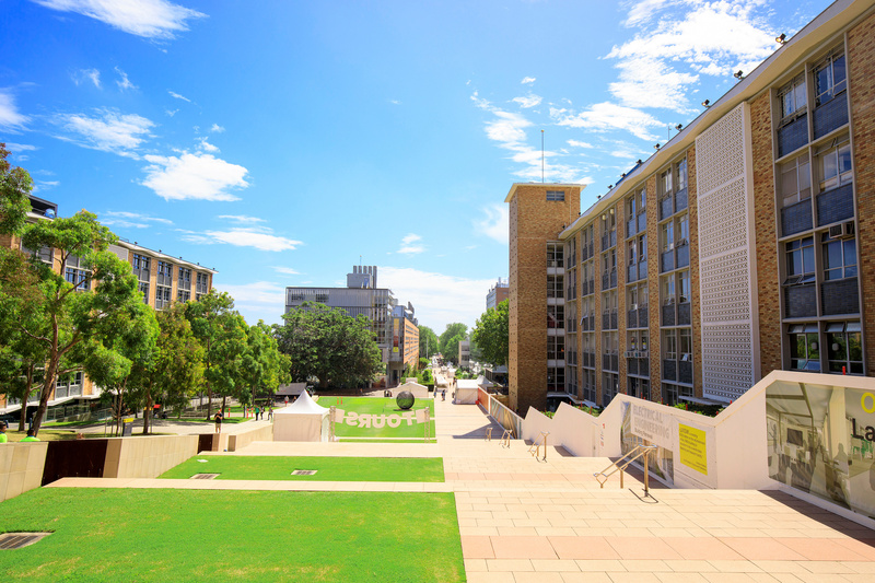 大学のキャンパスの風景