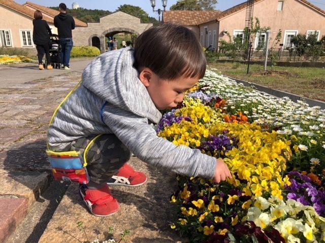 お花と息子さん