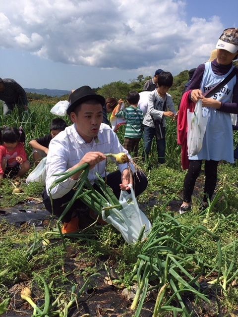 野菜の収穫体験
