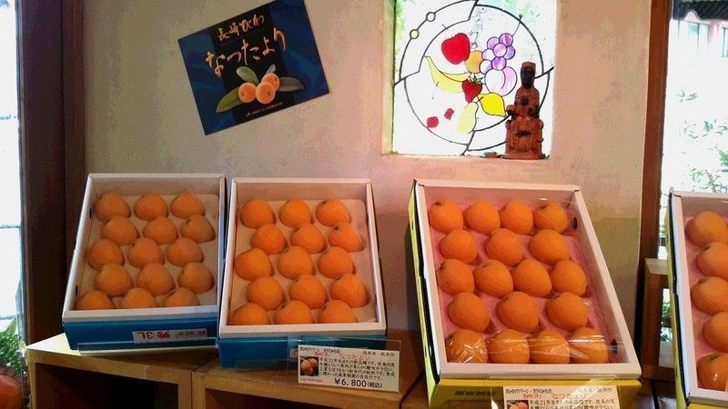 長崎びわ