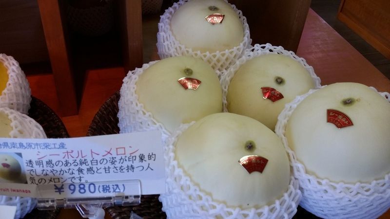 シーボルトメロン