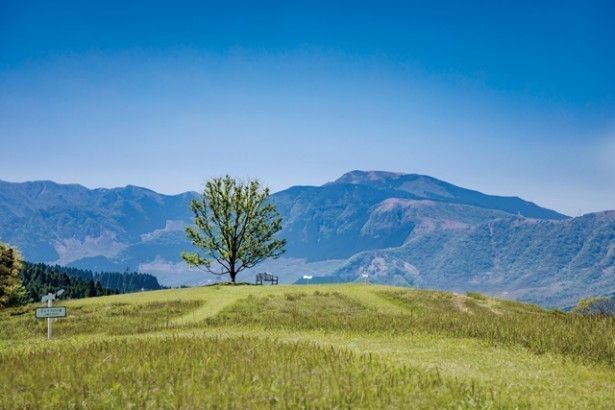 葉祥明 阿蘇絵本美術館