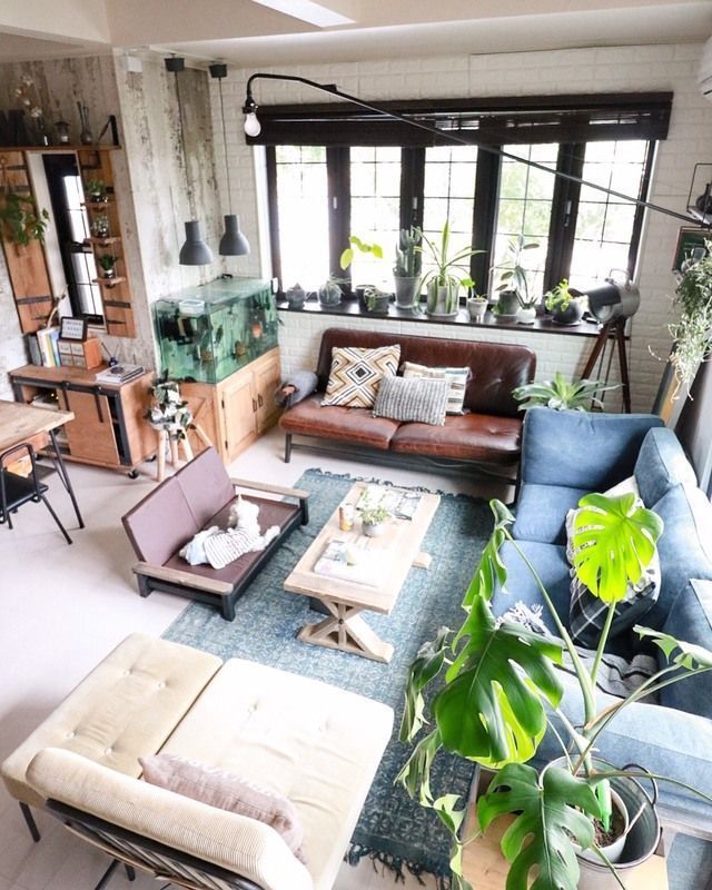 犬用ソファのある部屋