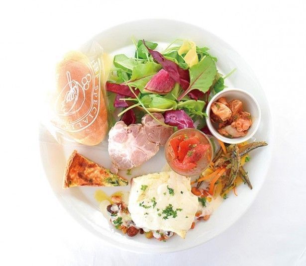 イルカウォッチング