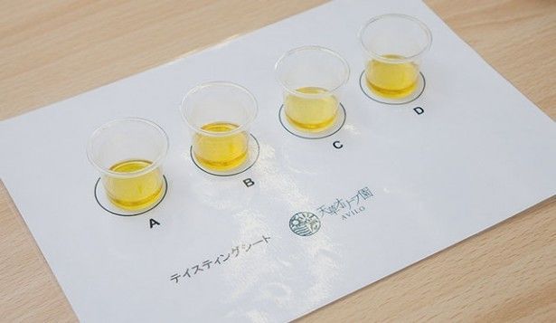 天草オリーブ園AVILO