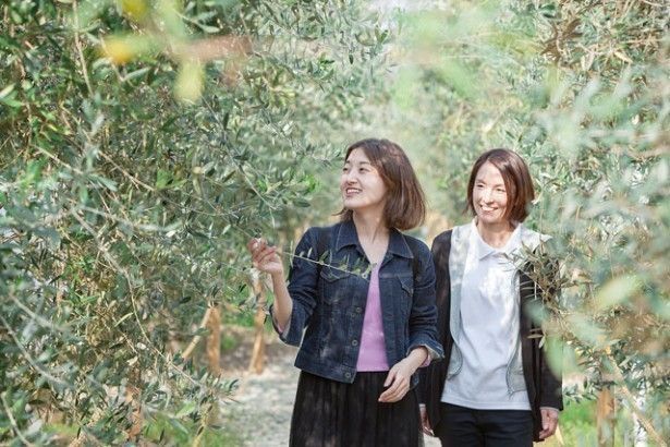 天草オリーブ園AVILO