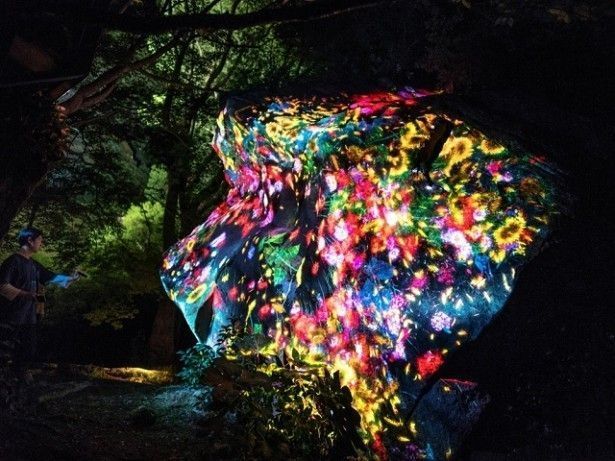 チームラボ かみさまがすまう森のアート