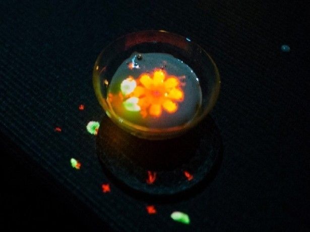 チームラボ かみさまがすまう森のアート