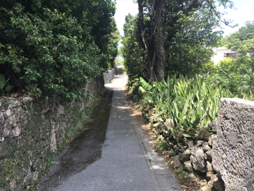 北中城村の道