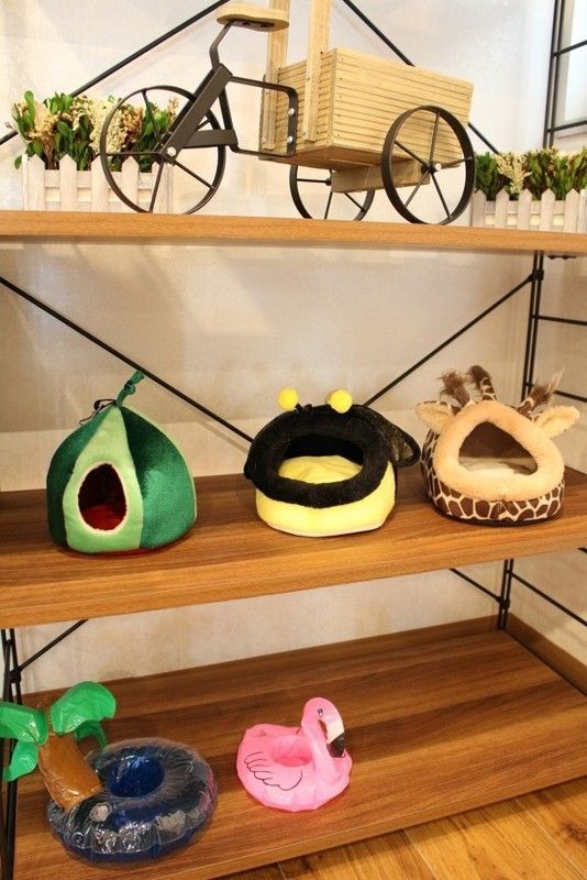 ハリネズミカフェ「sumoa」