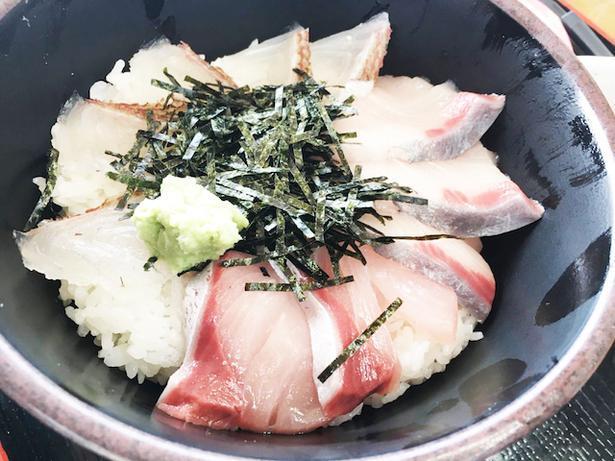 道の駅 むなかた