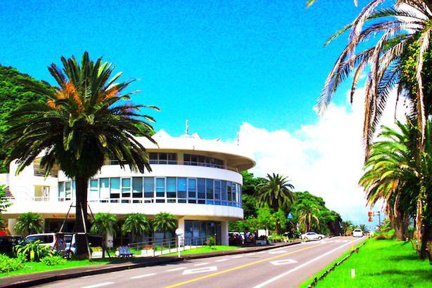 道の駅 フェニックス