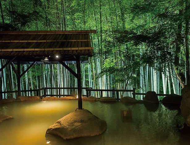 秘境 白川源泉 山荘 竹ふえ