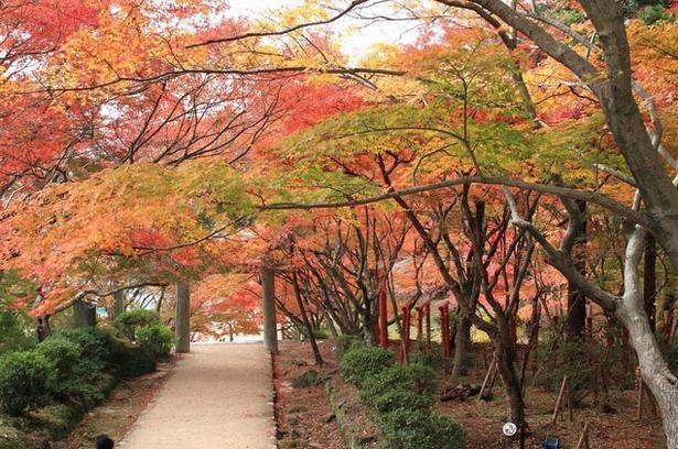 竈門神社