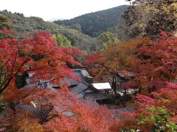 永勝寺