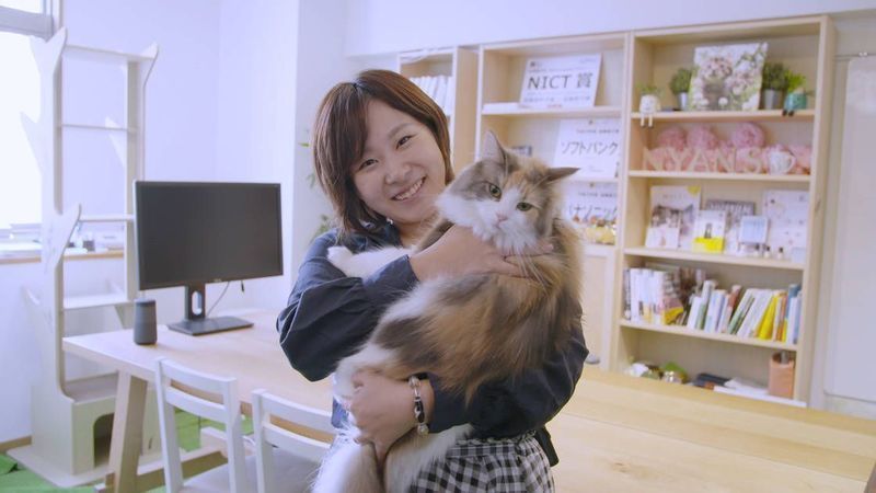ねこクラウドファンディング谷口さん